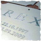 Gravirovani elox